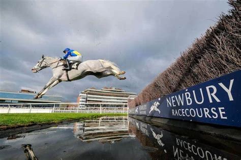 newbury betting online - newbury racecourse results